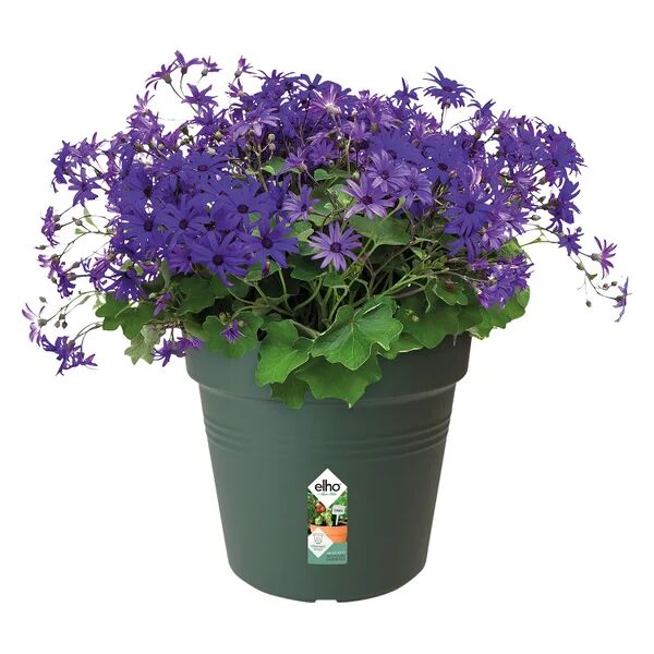 elho vaso per piante e fiori green basics growpot  in polipropilene verde h 24.7 cm l 27 x p 24.3 cm Ø 27 cm