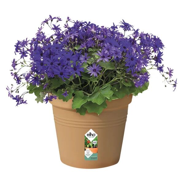 elho vaso per piante e fiori green basics growpot  in polipropilene marrone h 24.7 cm l 27 x p 24.3 cm Ø 27 cm