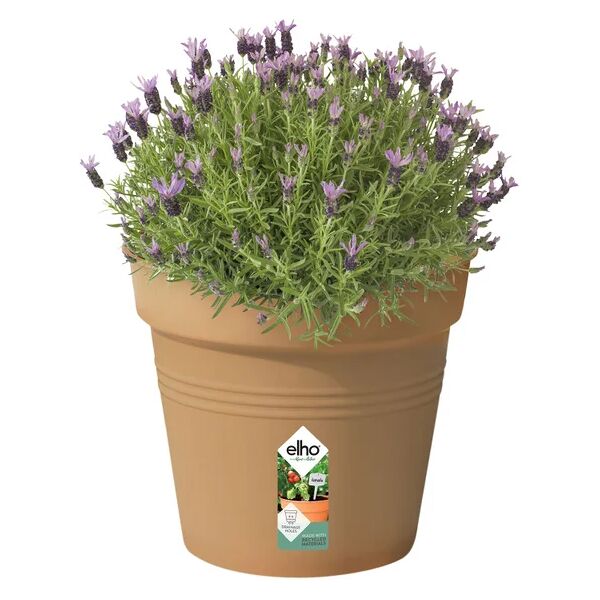 elho vaso per piante e fiori green basics growpot  in polipropilene marrone h 32.2 cm l 35 x p 31.8 cm Ø 35 cm