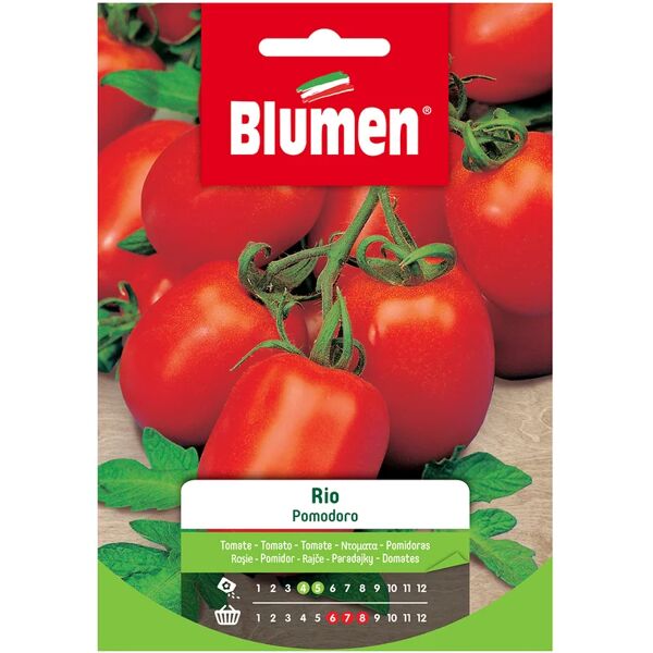 blumen seme per orto pomodoro rio