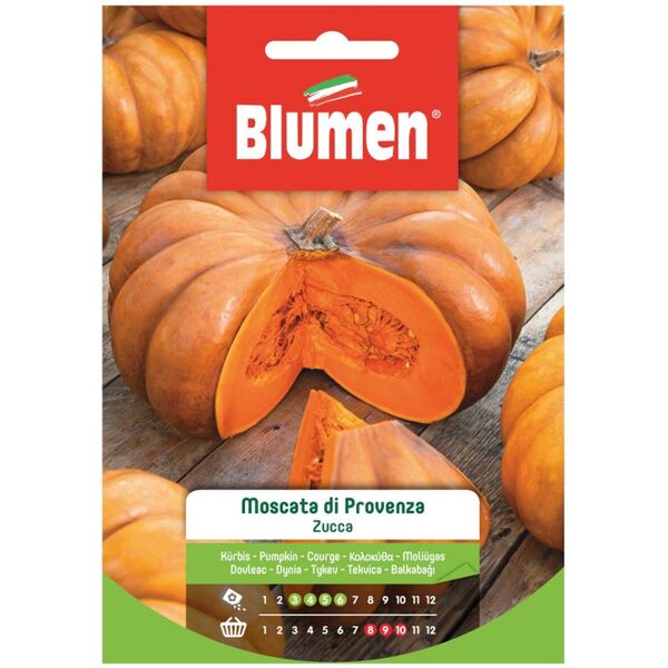 blumen seme per orto zucca moscata di provenza