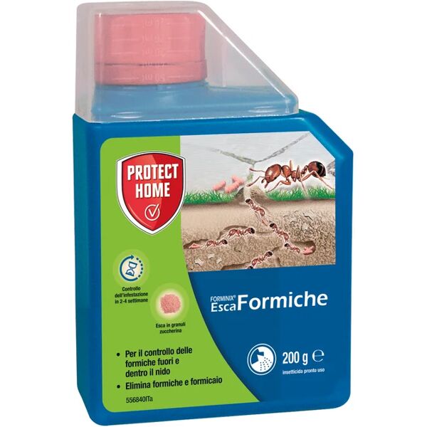 protect home trappola per formiche