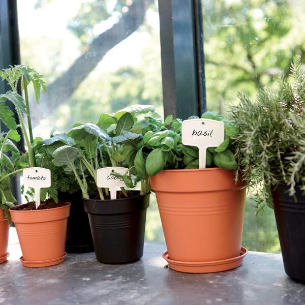 elho vaso per piante e fiori green basics growpot  in polipropilene marrone h 10.1 cm Ø 11 cm