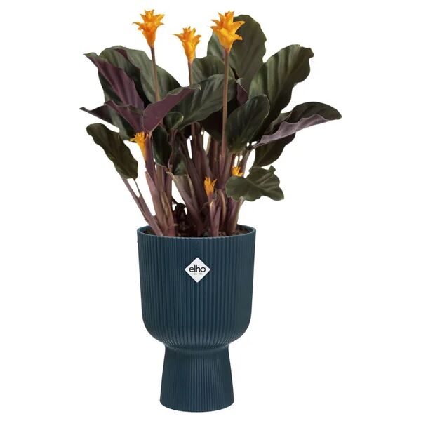 elho coprivaso per piante e fiori vibes fold coupe  in polipropilene blu h 21 cm l 13.9 x p 14.4 cm Ø 14 cm