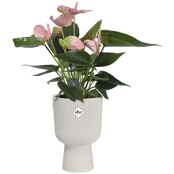 elho coprivaso per piante e fiori vibes fold coupe  in polipropilene bianco h 21 cm Ø 14 cm