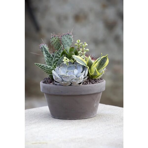 leroy merlin vaso per piante e fiori ciotola kultur basalt cm 20,5 h 10,1 in terracotta marrone h 10.1 cm l 20.5 x p 20.5 cm
