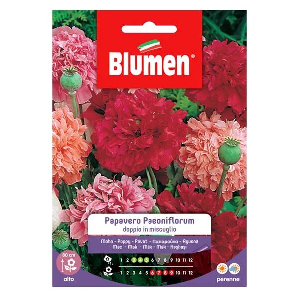 blumen semi papavero paeoniflorum doppio in mix