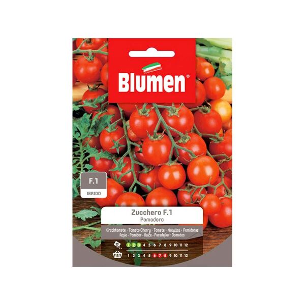 blumen semi pomodoro zucchero f1