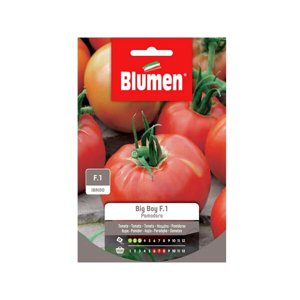 blumen semi pomodoro big boy f1