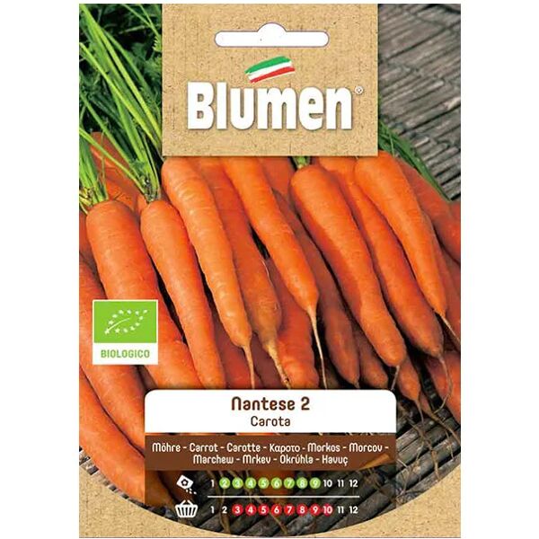 blumen semi bio carota nantese 2