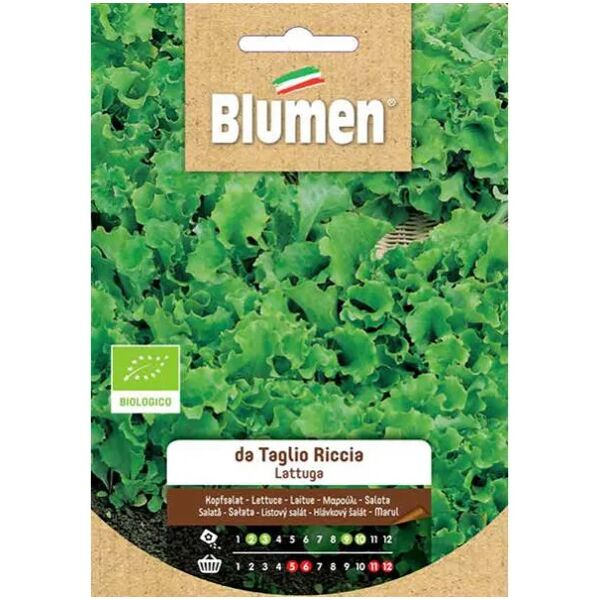 blumen semi bio lattuga da taglio riccia