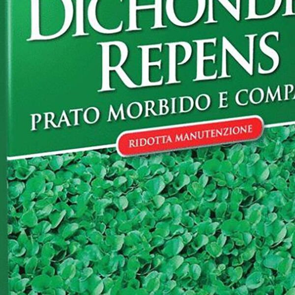 blumen semi di erba per prato dichondra repens, da 200 gr, fino a 50 mq -