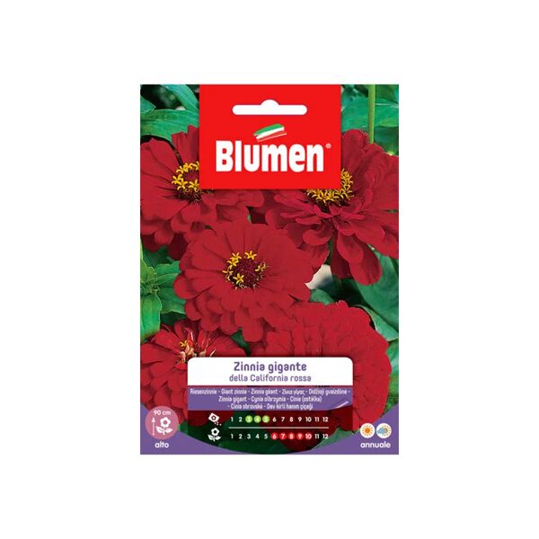 blumen semi zinnia gigante rossa