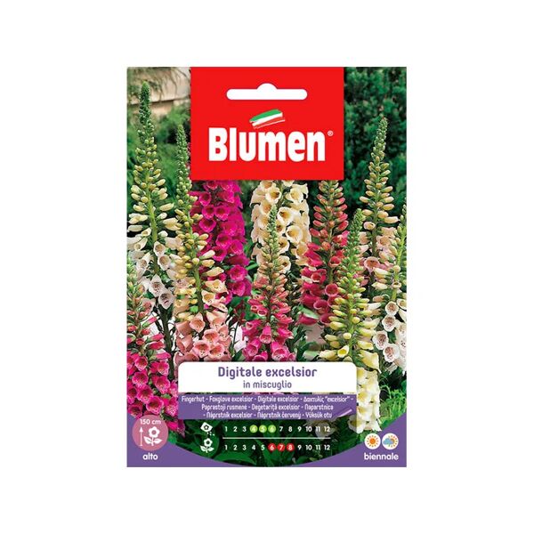 blumen semi digitale excelsior in mix