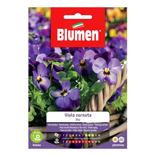 blumen semi viola cornuta blu