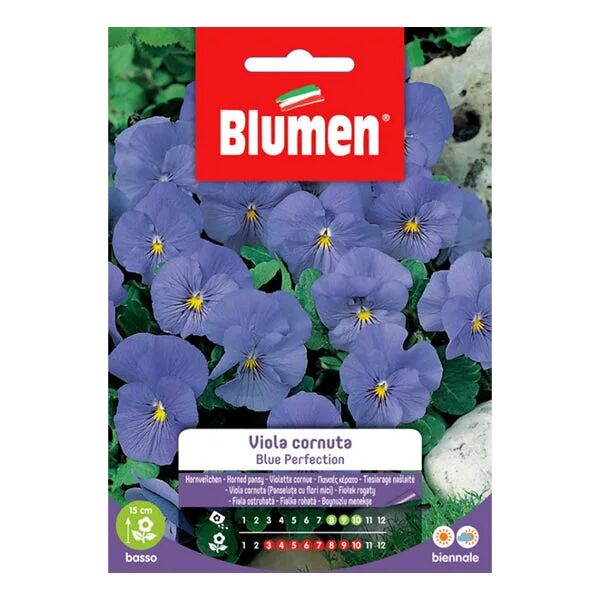 blumen semi viola cornuta blue perfection