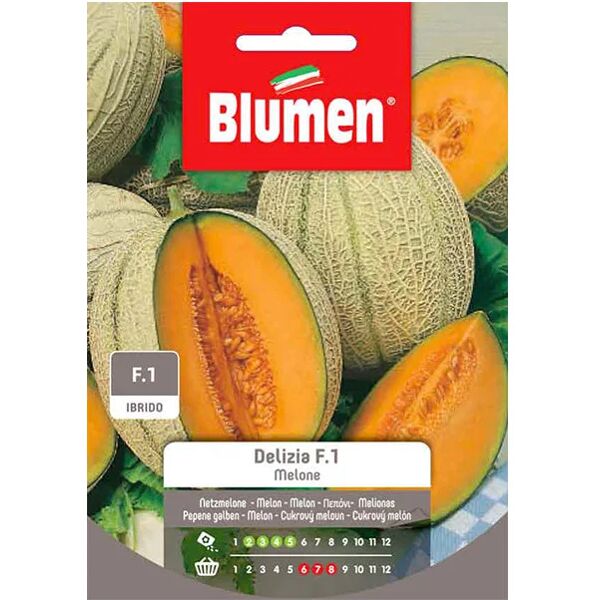 blumen semi melone delizia f1