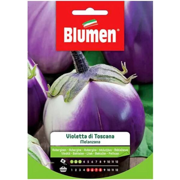 blumen semi melanzana violetta toscana