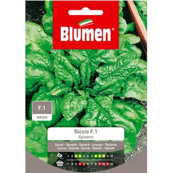 blumen semi spinacio riccio melody f1