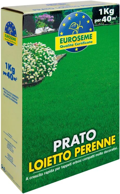 euroseme seme per prato  loietto 1 kg