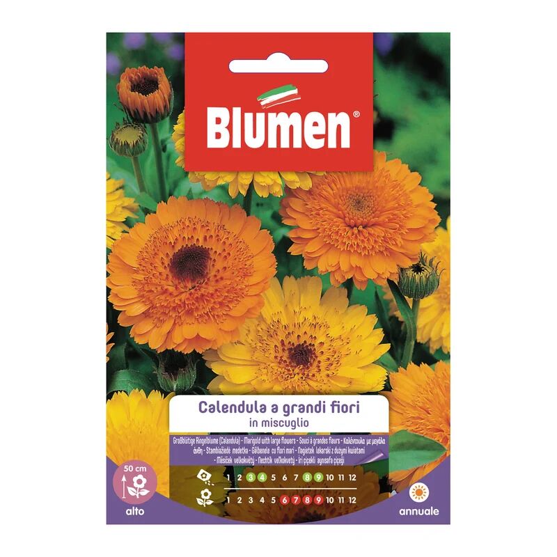 blumen seme fiore calendula a grandi fiori in miscuglio 0.01 g