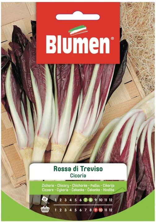 blumen seme per orto cicoria rossa di treviso