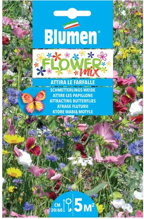 blumen seme fiore mix fiori 20 g