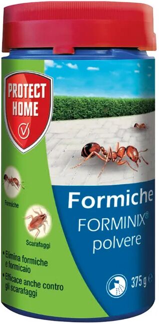 protect home insetticida polvere per formiche