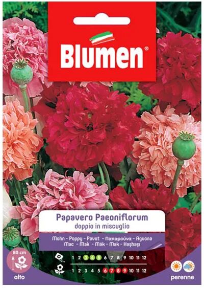 blumen semi papavero paeoniflorum doppio in mix