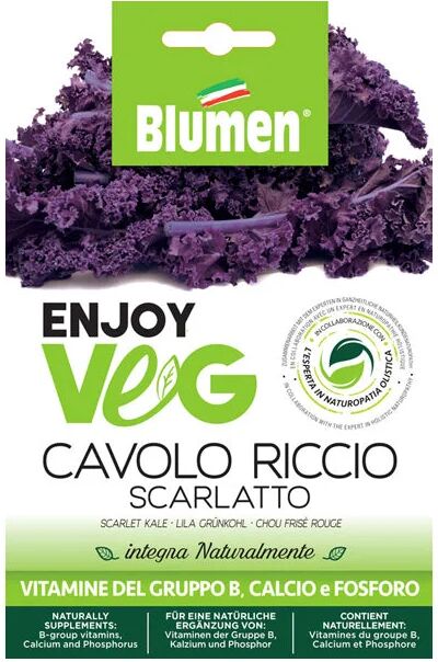 blumen semi superfood cavolo riccio porpora