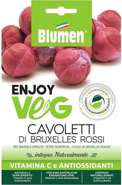 blumen semi superfood cavolo bruxelles red