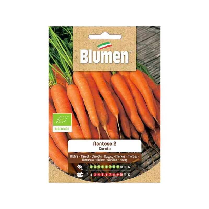 blumen semi bio carota nantese 2