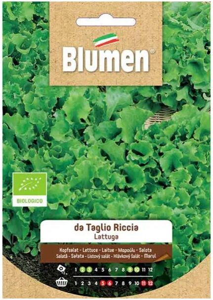 blumen semi bio lattuga da taglio riccia