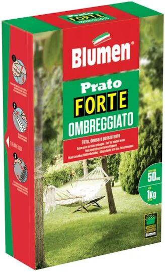 generico semi prato forte ombreggiato 1 kg