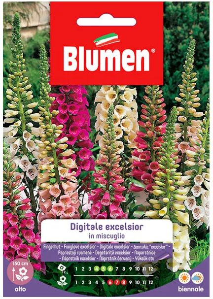 blumen semi digitale excelsior in mix