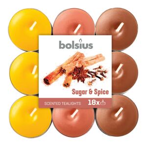 BOLSIUS Tealight  essenza zucchero e spezie  Ø 19.5 cm H 3 cm, 18 pezzi
