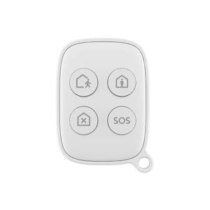 LEXMAN Badge  Smart Compact Keyfob, LDSENK09