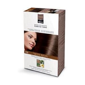 Vebix Color Tintura Per Capelli Permanente Naturale 6,0 Biondo Scuro 1 Kit