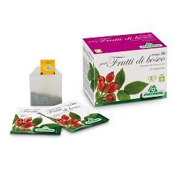 BIO + Infuso Bio Frutta Bosco 20Filt