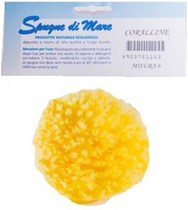 spugna mare naturale s