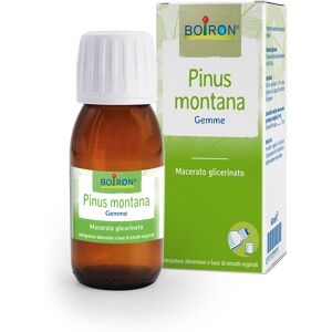 Boiron Pinus Montana Boi Mg 60 ml Int