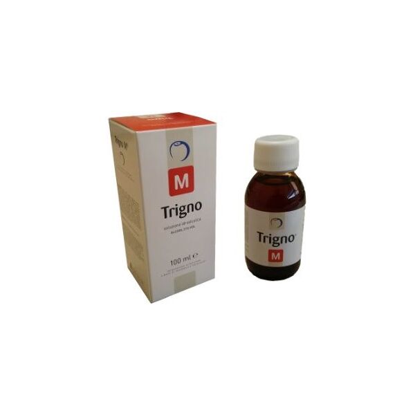 trigno m soluzione idroalcolica 100 ml