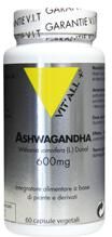 vital plus ashwagandha  60 capsule