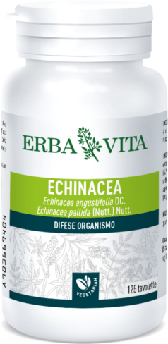 erba vita echinacea integratore difese dell'organismo 125 tavolette