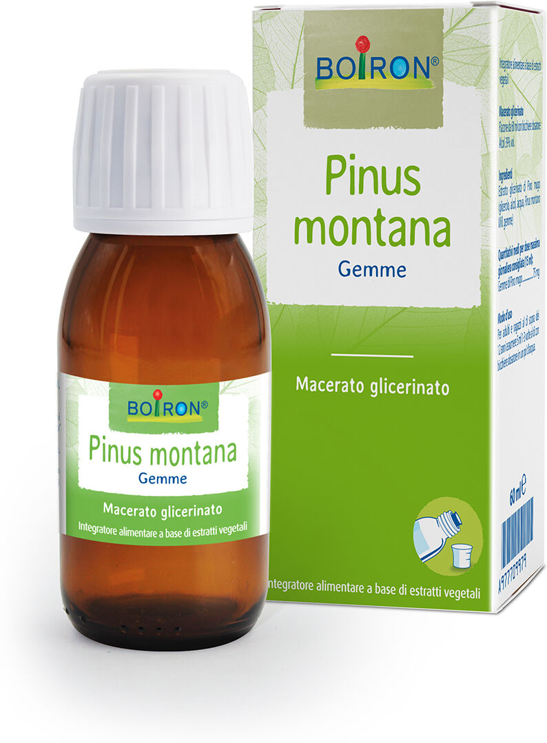 Boiron Pinus Montana Boi Mg 60 ml Int