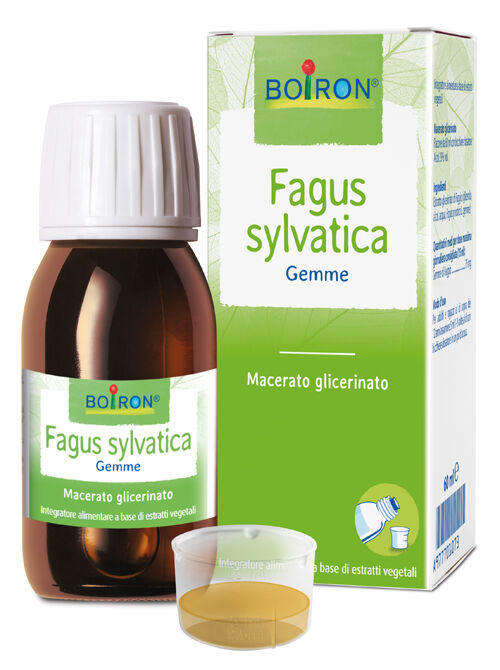 Boiron Fagus Sylvatica Boi Macerato Glicerinato 60 ml Int