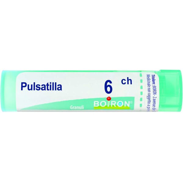 boiron pulsatilla 6 ch 80 gr 4 g