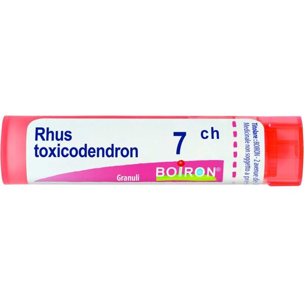 boiron rhus toxicodendron 7 ch 80 gr 4 g