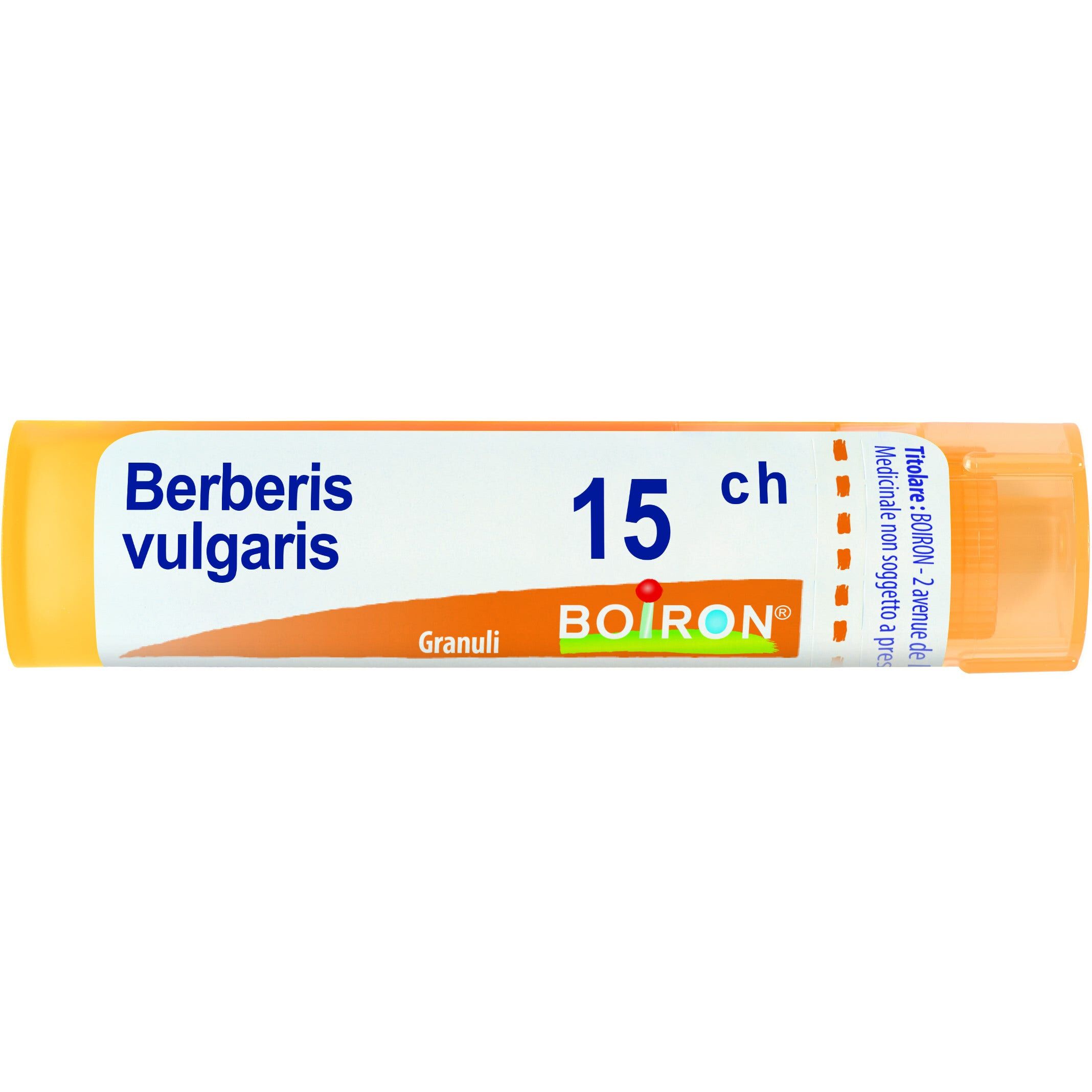 Boiron Berberis Vulgaris 15 Ch 80 Gr 4 G