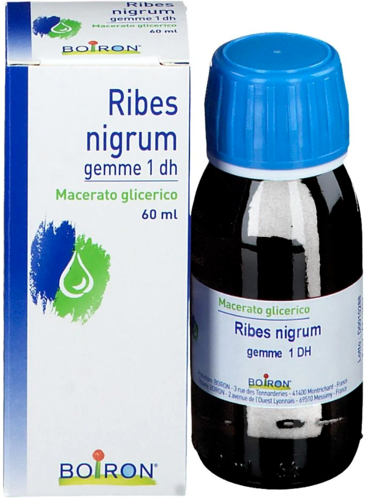 Boiron Ribes Nigrum Gemme 60 ml mg